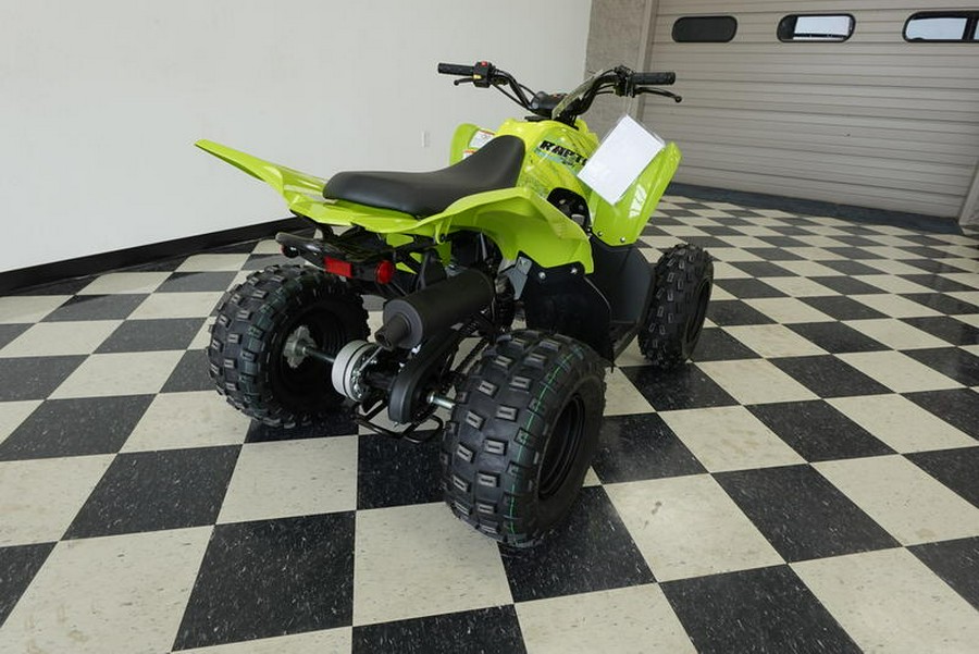 2026 Yamaha Raptor 110
