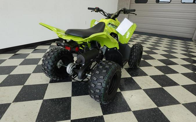 2026 Yamaha Raptor 110