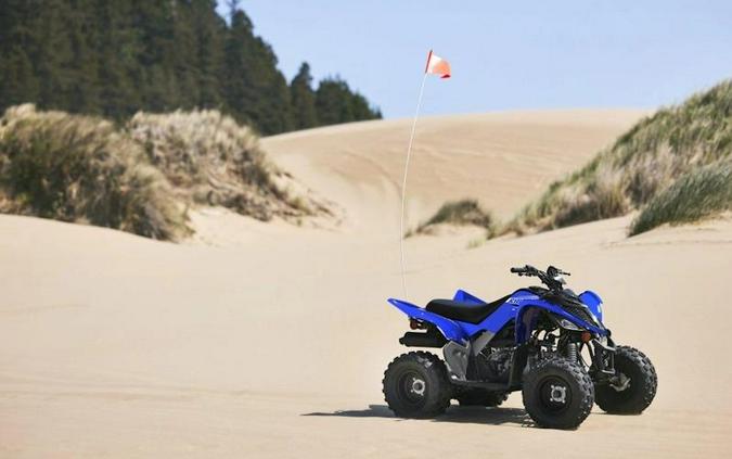2026 Yamaha Raptor 110