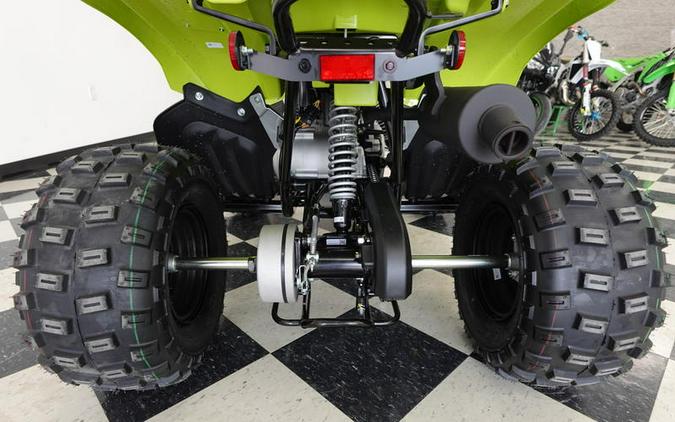 2026 Yamaha Raptor 110