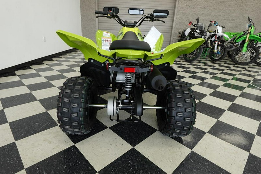2026 Yamaha Raptor 110