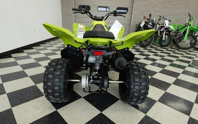 2026 Yamaha Raptor 110