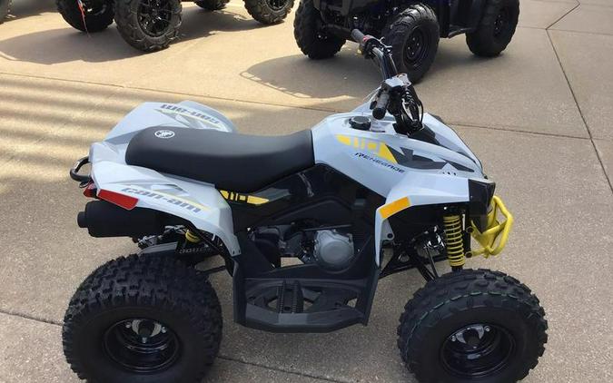 2024 Can-Am® Renegade 110 EFI