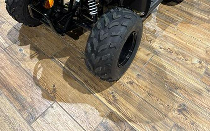 2025 Kawasaki KFX 50