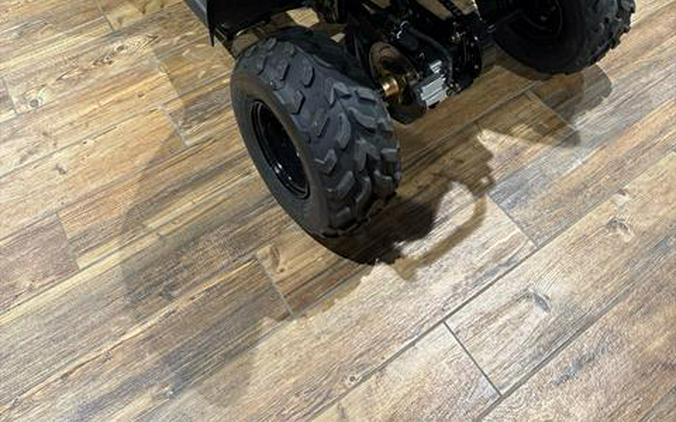 2025 Kawasaki KFX 50