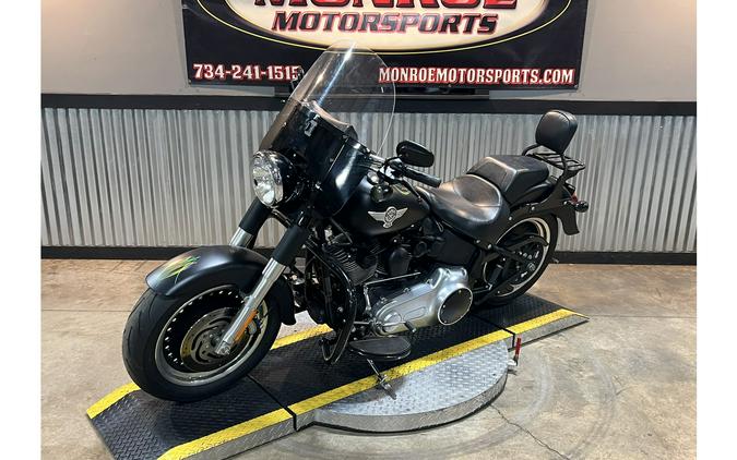 2010 Harley-Davidson® FLSTFB