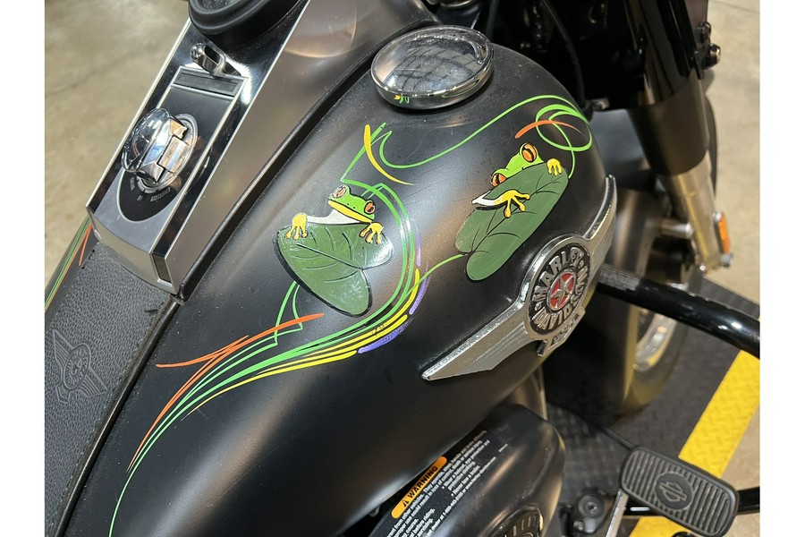 2010 Harley-Davidson® FLSTFB