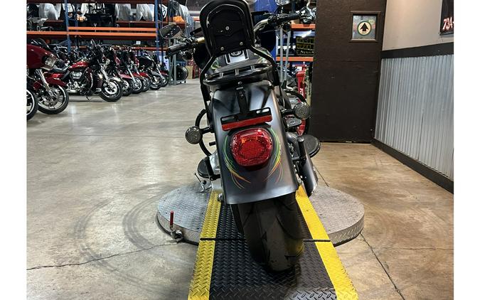 2010 Harley-Davidson® FLSTFB