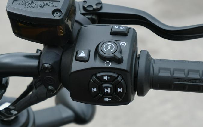 2024 HARLEY SPORTSTER S