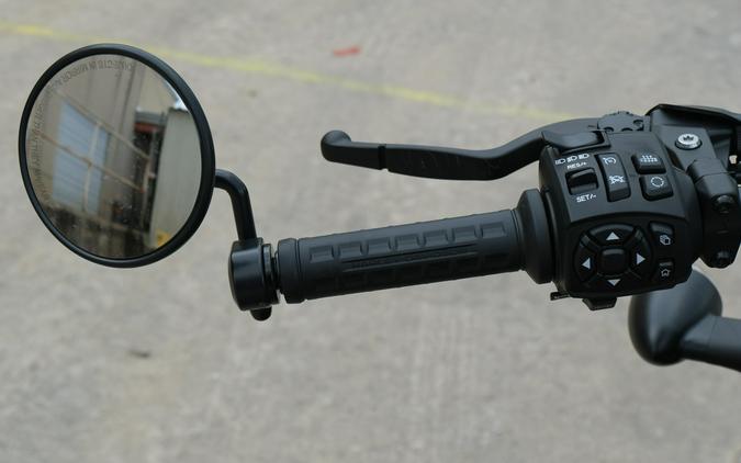 2024 HARLEY SPORTSTER S