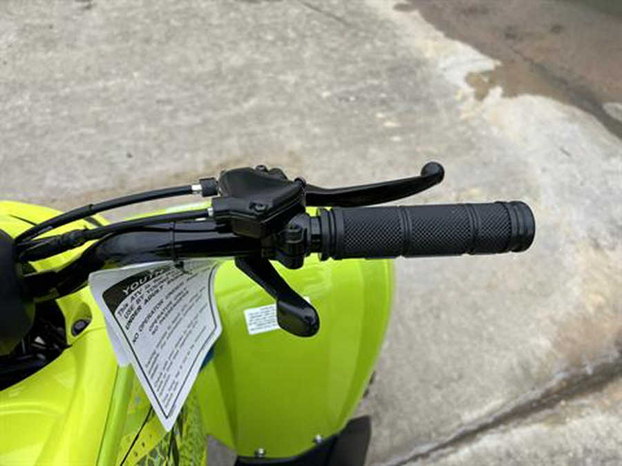 2026 Yamaha Raptor 110