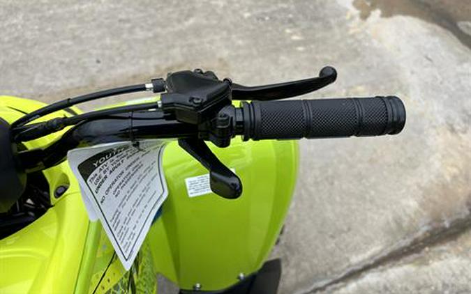 2026 Yamaha Raptor 110