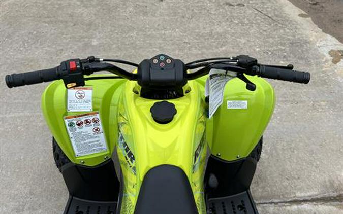 2026 Yamaha Raptor 110