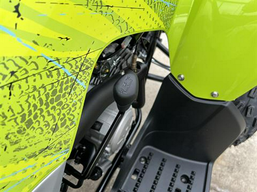 2026 Yamaha Raptor 110