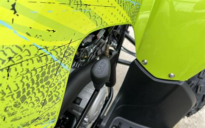 2026 Yamaha Raptor 110