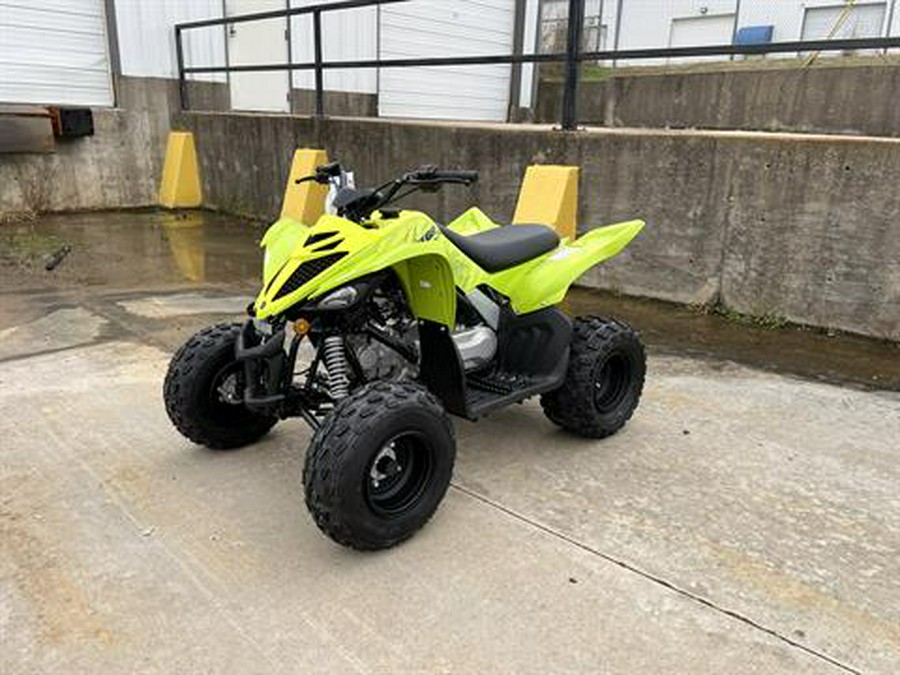 2026 Yamaha Raptor 110
