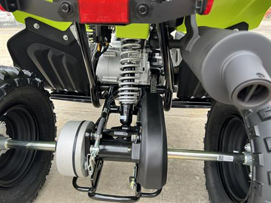 2026 Yamaha Raptor 110