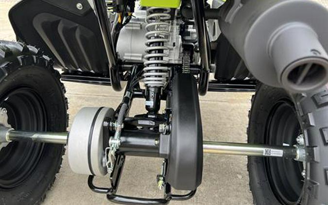 2026 Yamaha Raptor 110