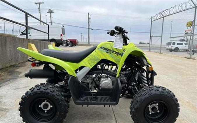 2026 Yamaha Raptor 110