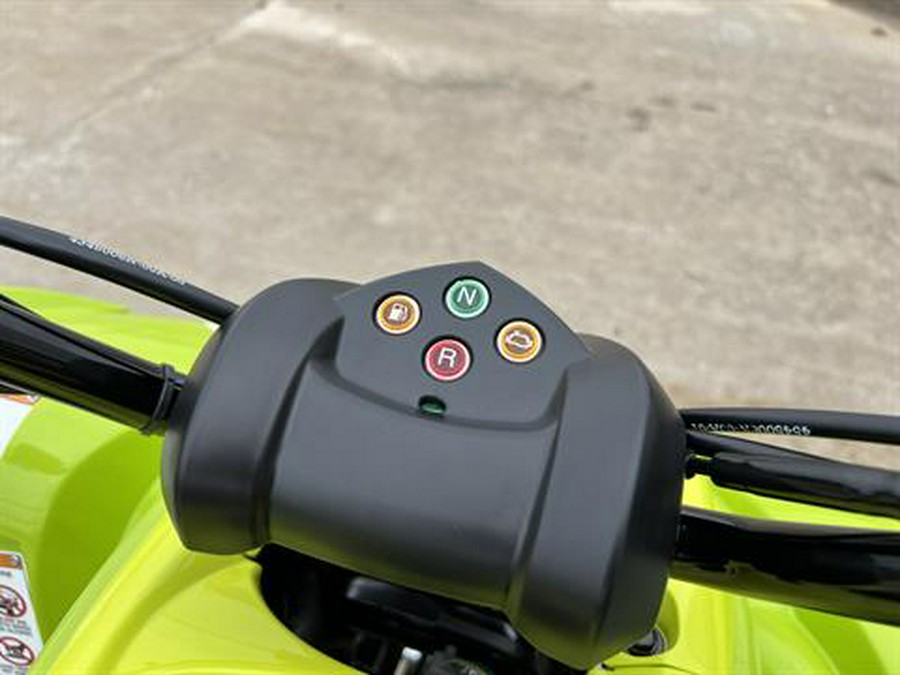 2026 Yamaha Raptor 110