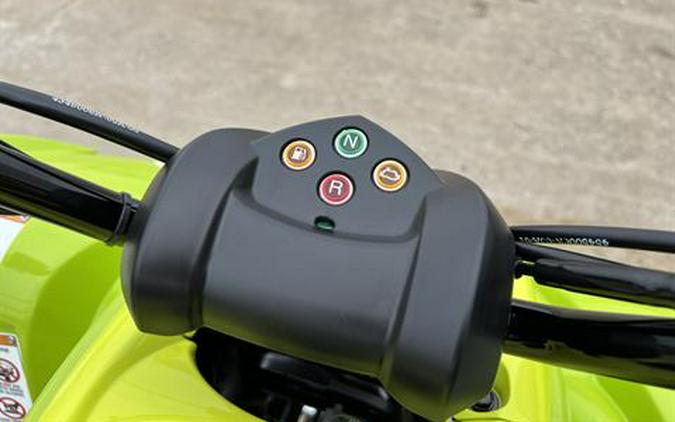 2026 Yamaha Raptor 110