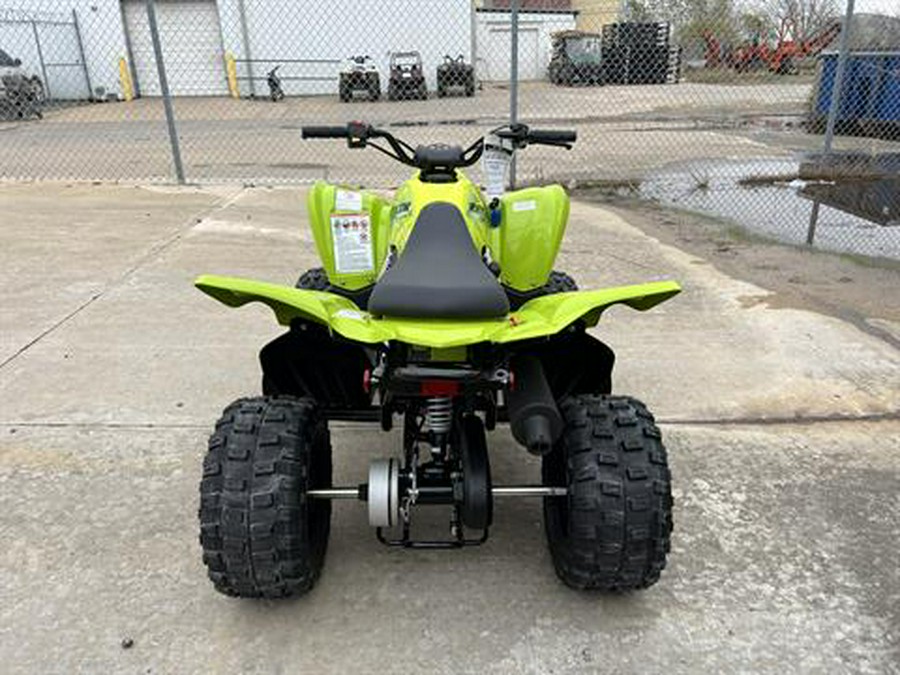 2026 Yamaha Raptor 110