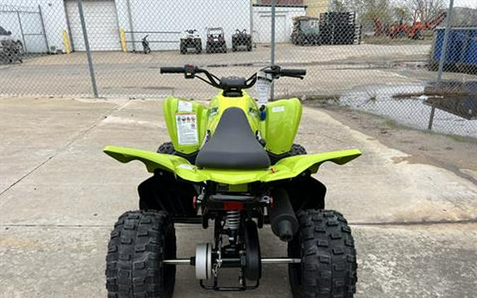 2026 Yamaha Raptor 110