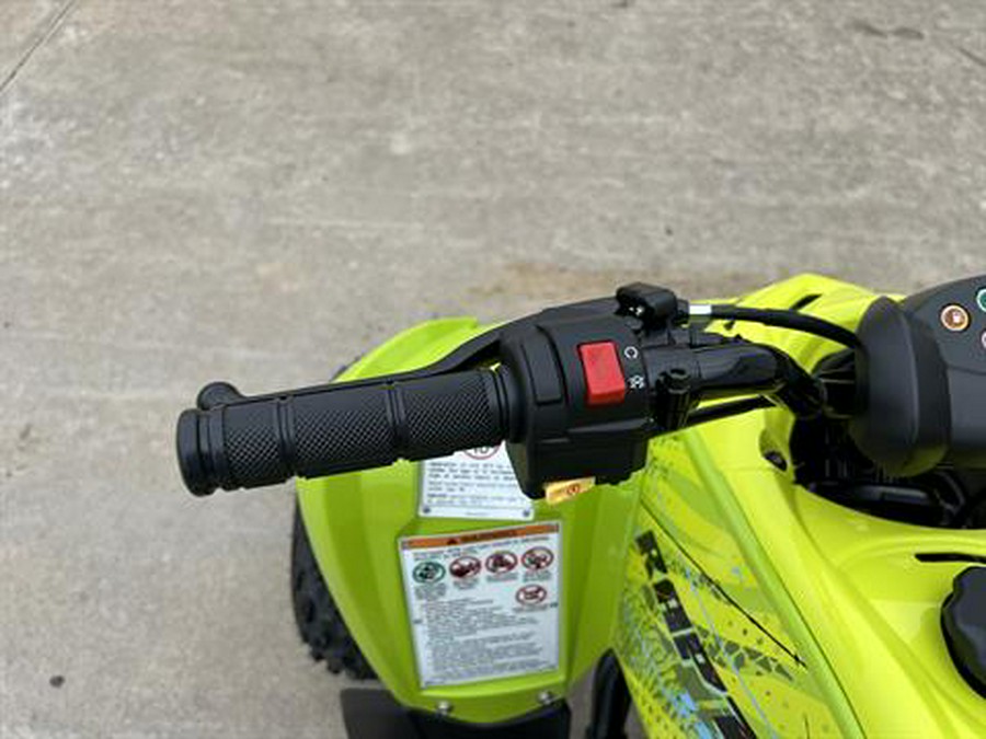 2026 Yamaha Raptor 110