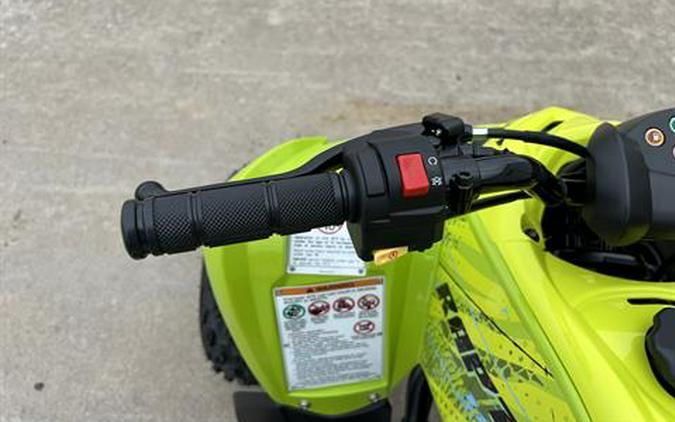 2026 Yamaha Raptor 110