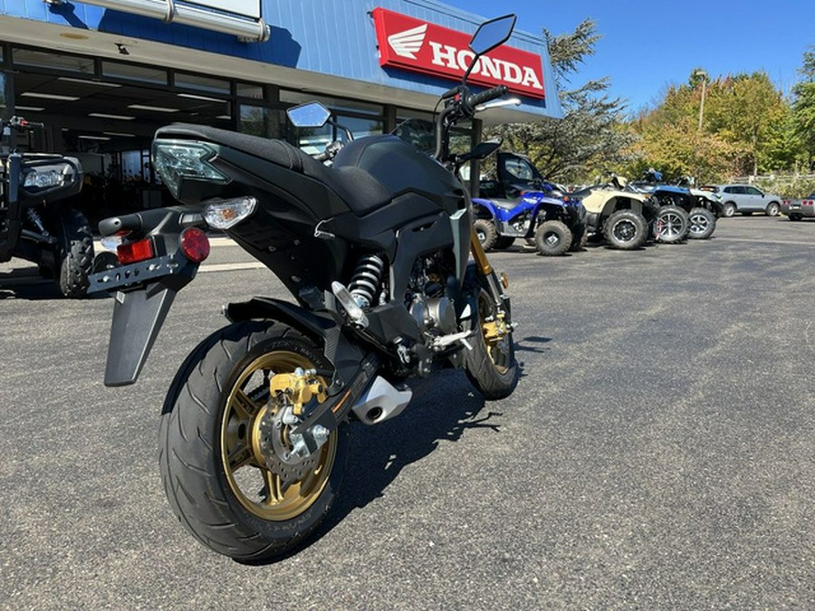 2025 Kawasaki Z125 PRO