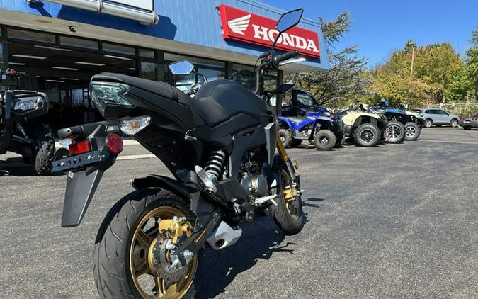 2025 Kawasaki Z125 PRO