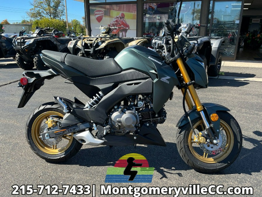 2025 Kawasaki Z125 PRO