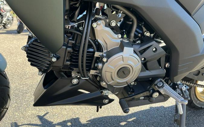 2025 Kawasaki Z125 PRO