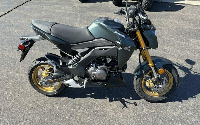 2025 Kawasaki Z125 PRO