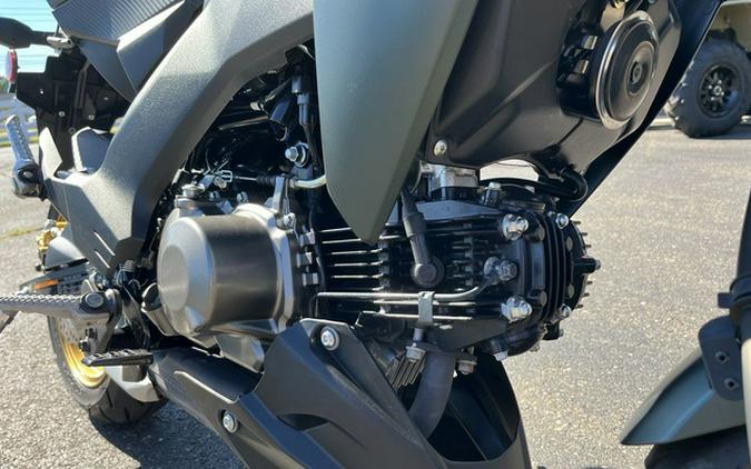 2025 Kawasaki Z125 PRO