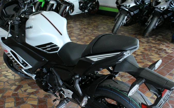 2026 Kawasaki NINJA 650 ABS Metallic Matte Whitish Silver/Metallic Flat Spark Black - TDAJ6909