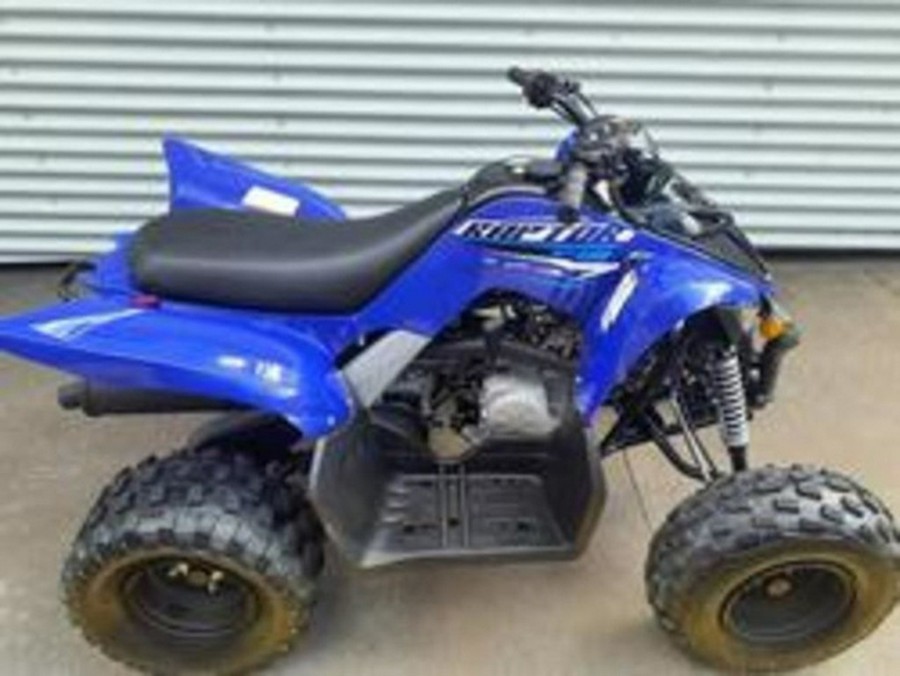 2026 Yamaha Raptor 110