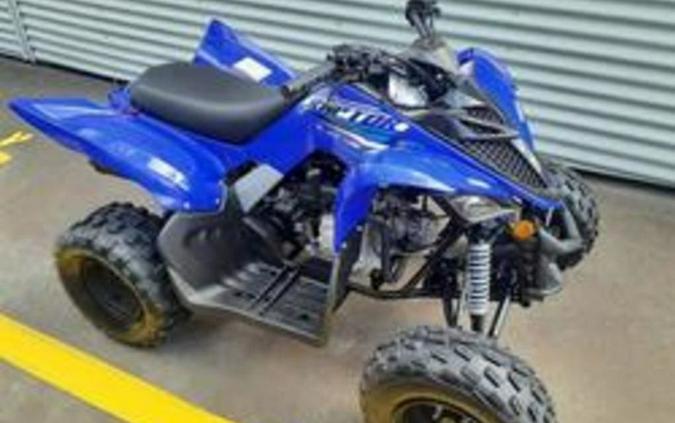 2026 Yamaha Raptor 110