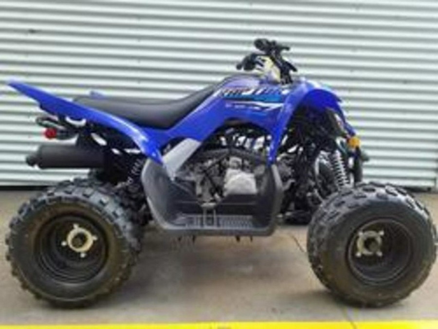 2026 Yamaha Raptor 110