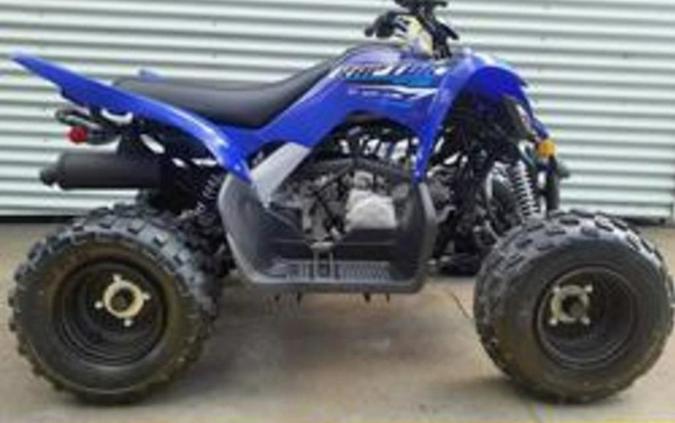 2026 Yamaha Raptor 110