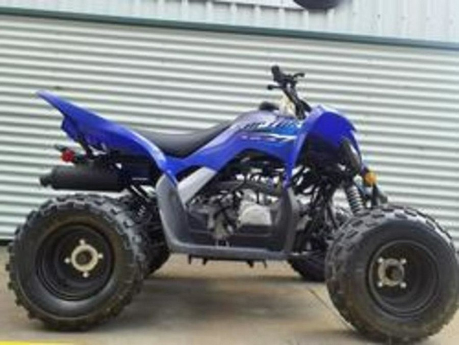 2026 Yamaha Raptor 110