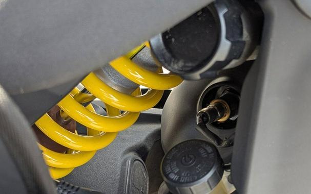 2024 Ducati DesertX White Livery