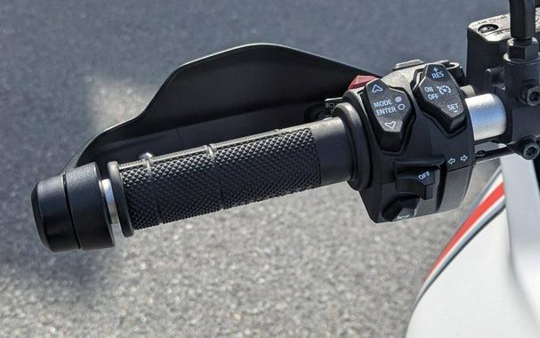 2024 Ducati DesertX White Livery