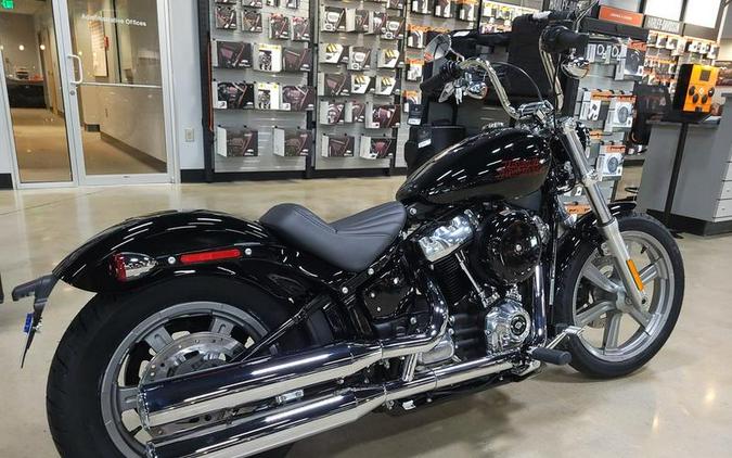 2024 Harley-Davidson® FXST - Softail® Standard