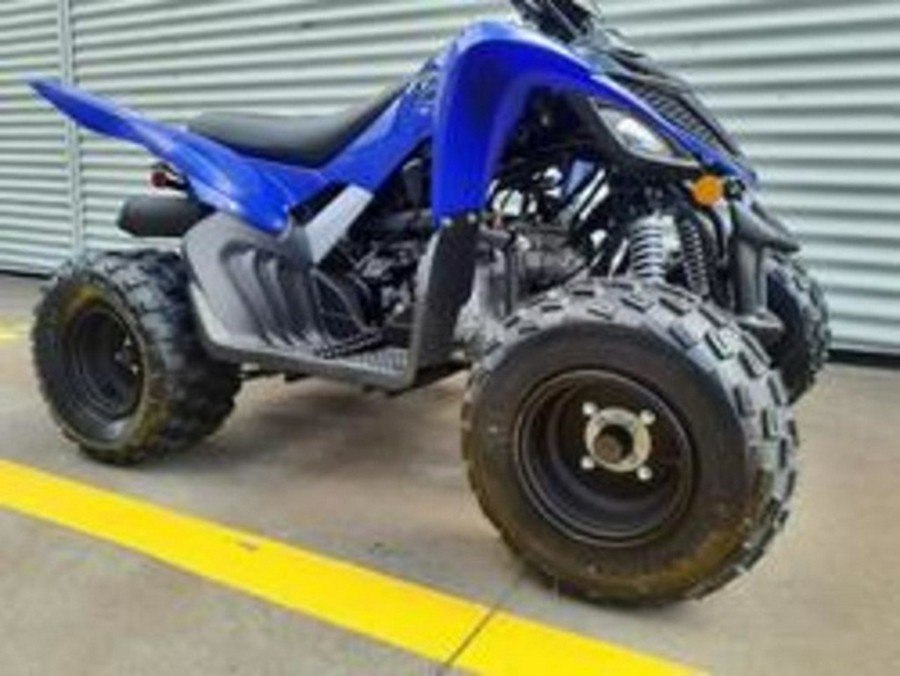 2026 Yamaha Raptor 110