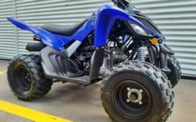 2026 Yamaha Raptor 110