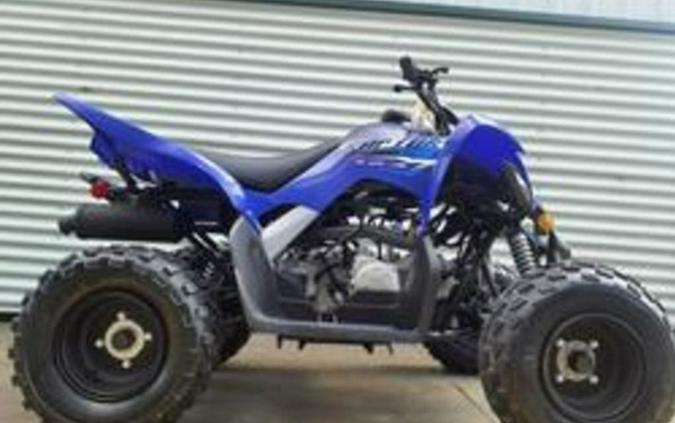 2026 Yamaha Raptor 110