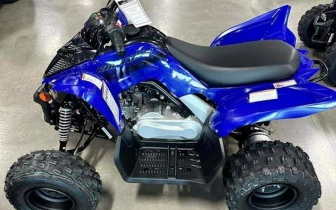 2024 Yamaha Raptor 110