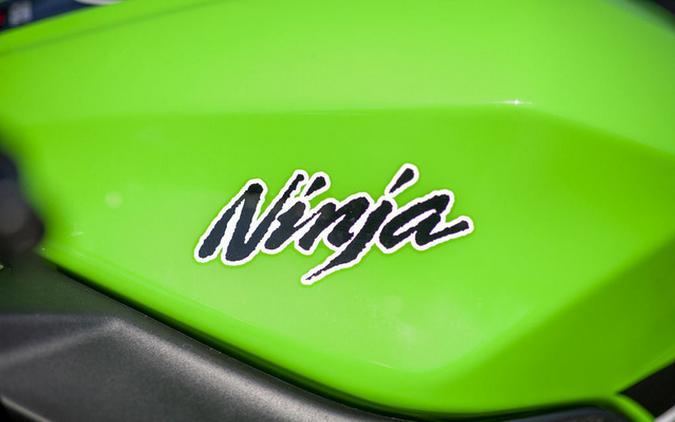 2014 Kawasaki Ninja 300