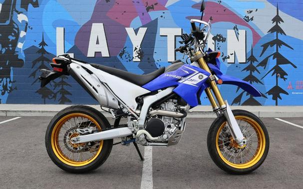 2013 Yamaha WR250 R